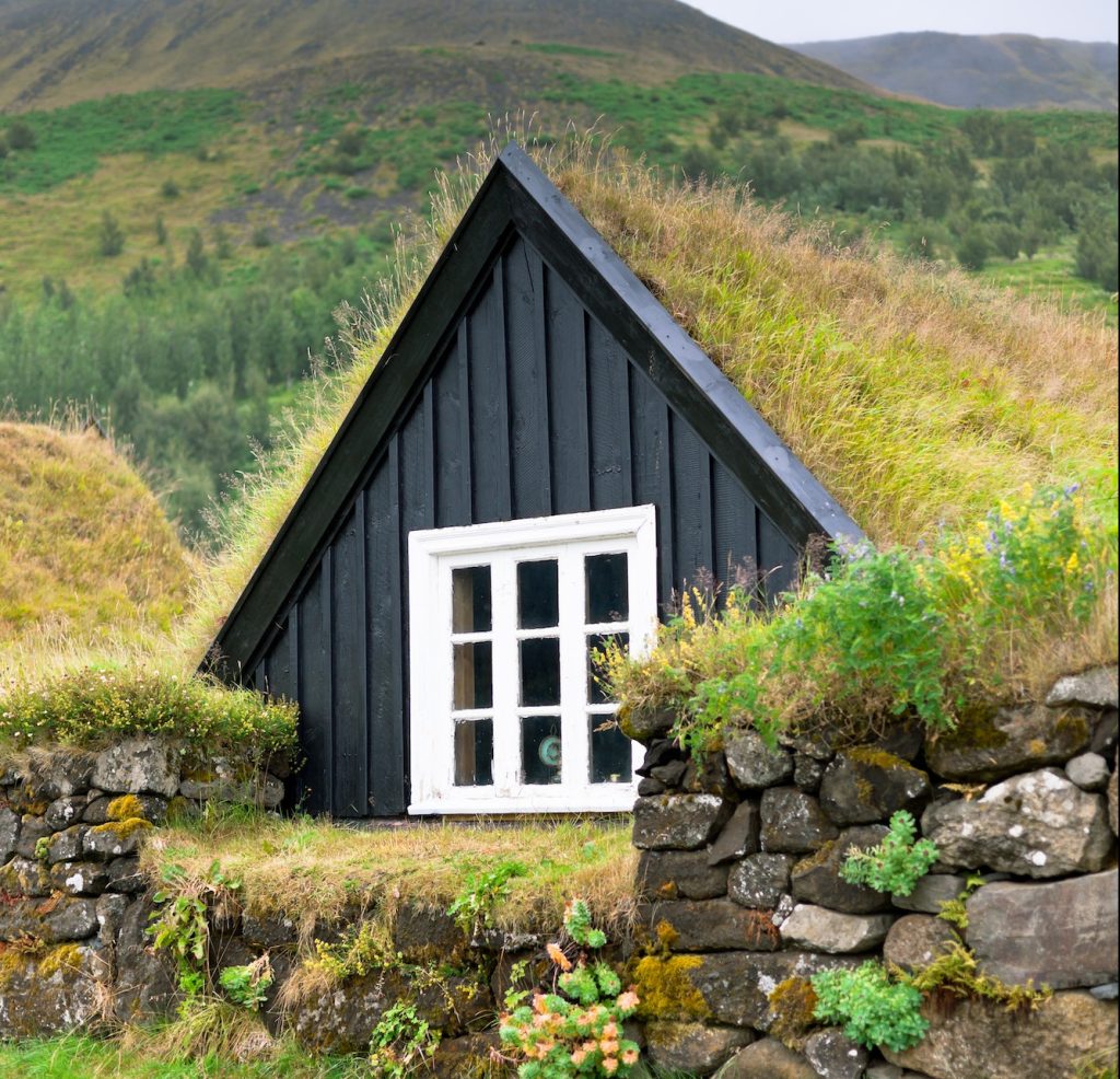 Overgrown Small House in Iceland